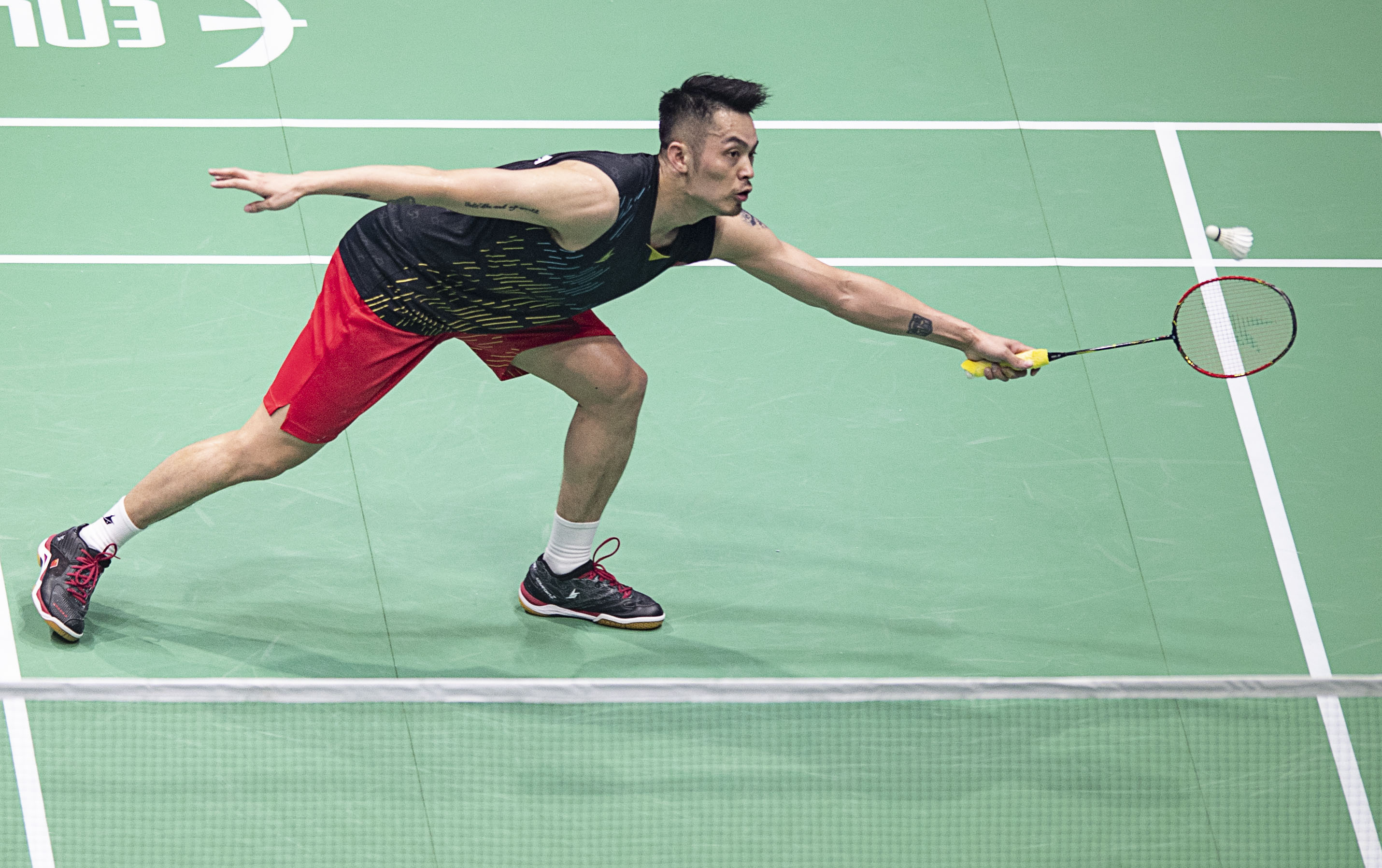 的成长速度 的成长速度