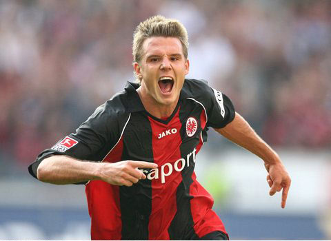 极强的韧性 极强的韧性