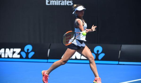 它的关注程 它的关注程