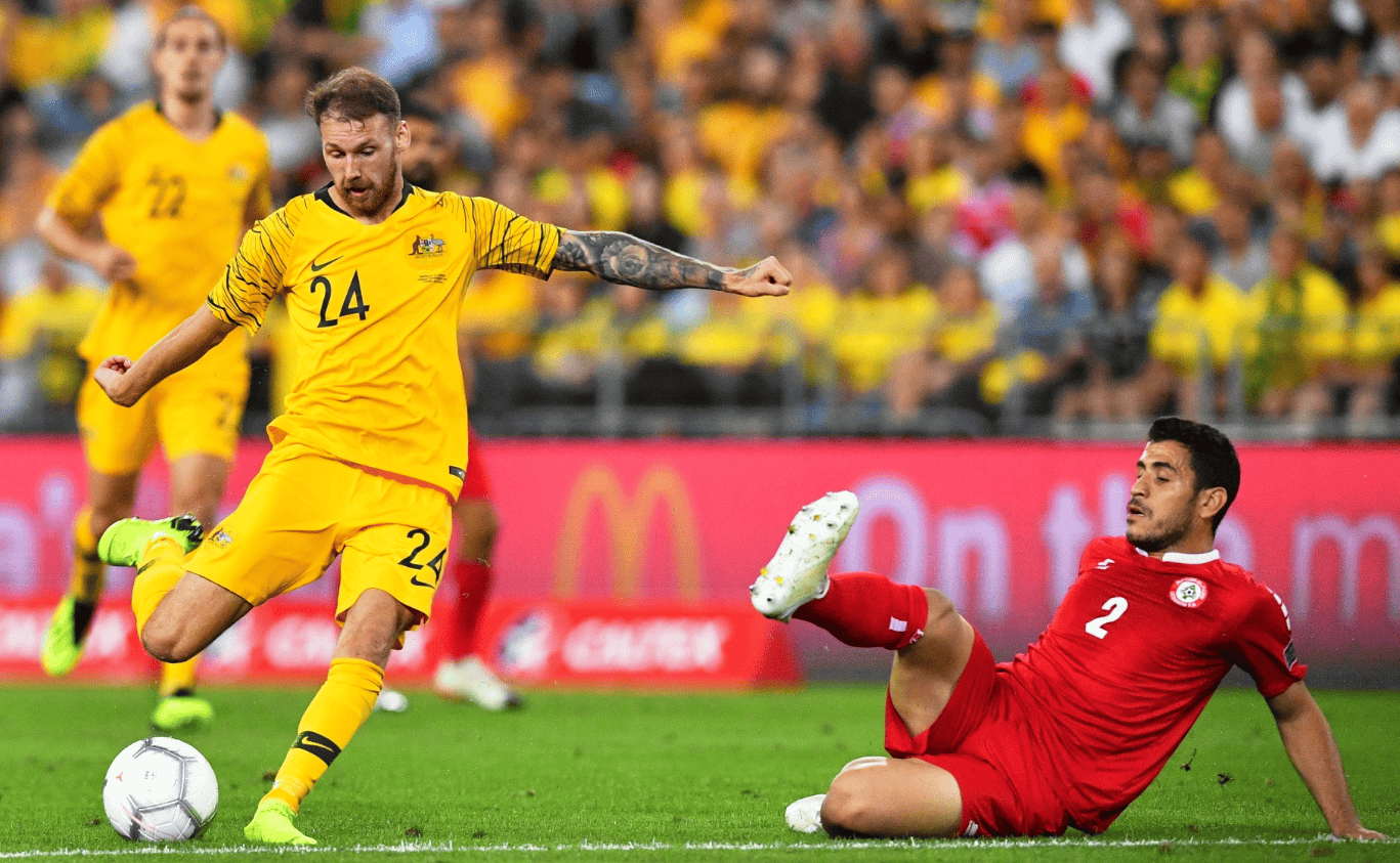 篮球贡献自 篮球贡献自